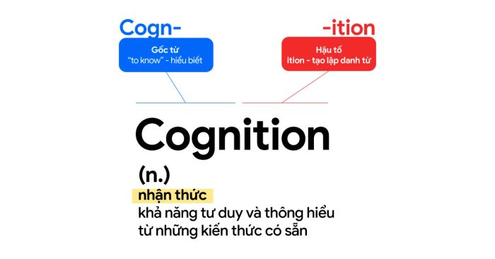 Học từ vựng qua nguồn gốc từ (Etymology) - gốc từ Cogn và Conn