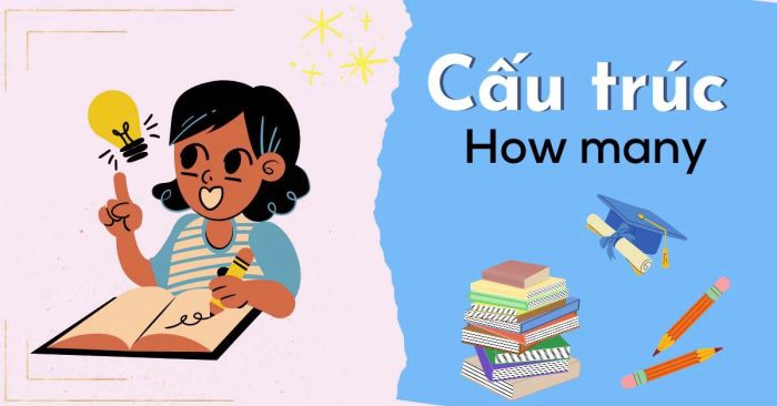 cau truc how many cach dung phan biet voi how much bai tap