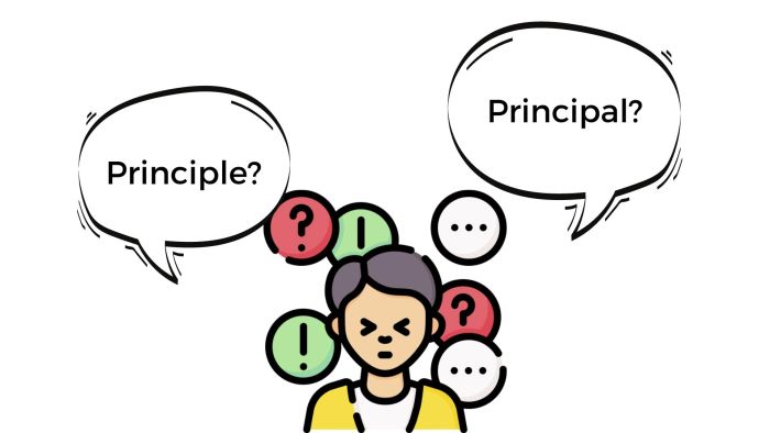 principle principal khái niệm cách sử dụng và phân biệt