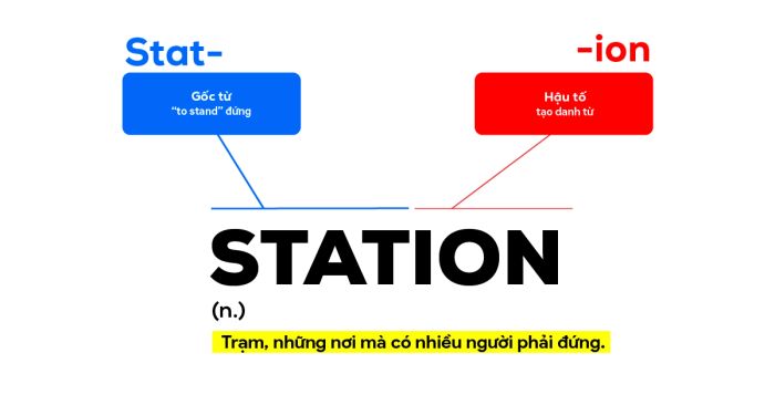 Học từ vựng qua gốc từ Etymology - gốc từ Stat