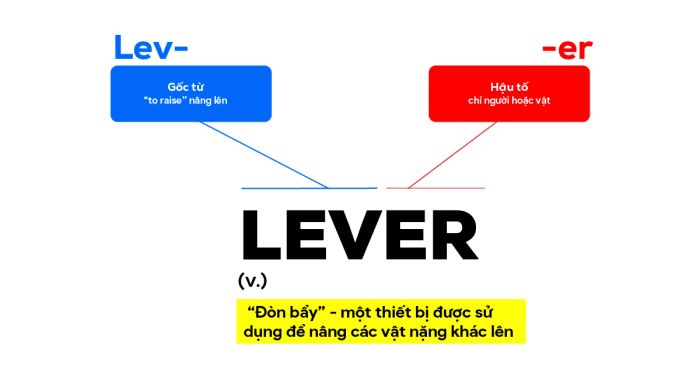 Studying vocabulary through word roots (Etymology) - the root word Lev