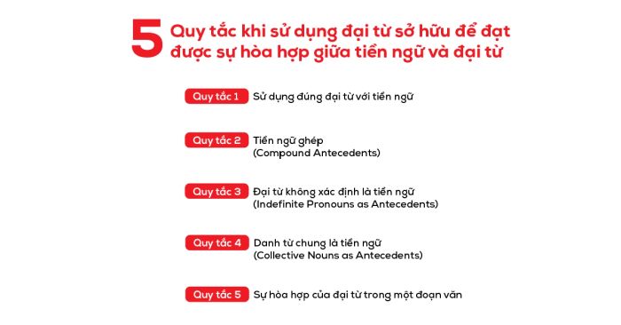 tính phù hợp của các đại từ pronoun agreement trong các tình huống đại từ sở hữu