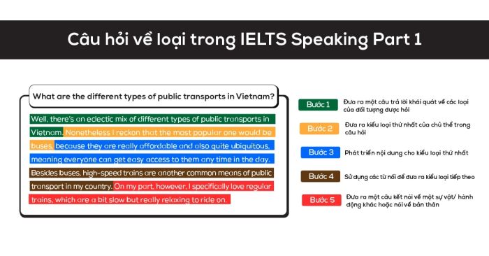 cau hoi ve loai trong ielts speaking part 1 va cach tra loi chi tiet