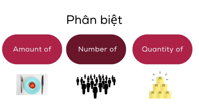 distinguish amount of number of quantity of with accompanying illustrated examples