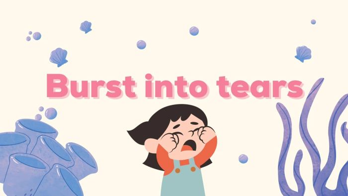 burst into tears là gì định nghĩa cách dùng và ví dụ trong tiếng anh