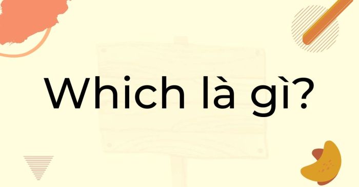 what is Which? Summary of detailed usage and application exercises for Which