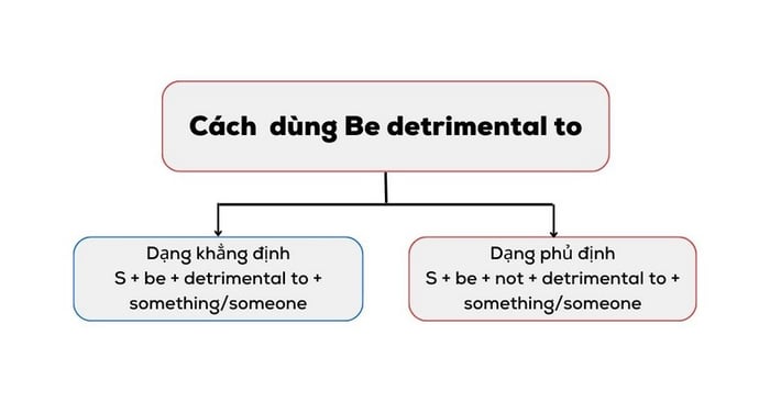 cach-su-dung-cau-truc-be-detrimental-to-trong-tieng-anh