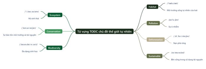 Từ vựng TOEIC: Thiên nhiên xung quanh