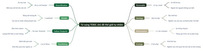 Từ vựng TOEIC liên quan đến thế giới tự nhiên