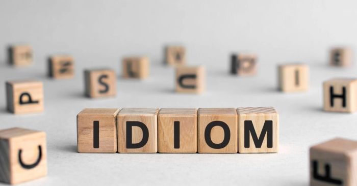 Idiom - Các thành ngữ trong tiếng Anh