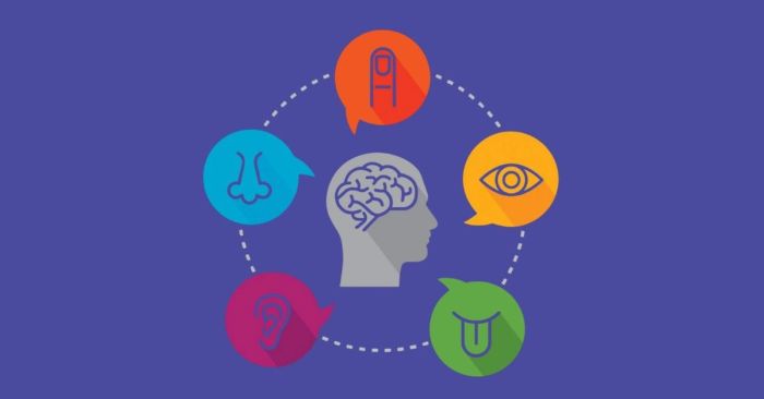 ap dung phuong phap multisensory learning trong viec hoc tu vung