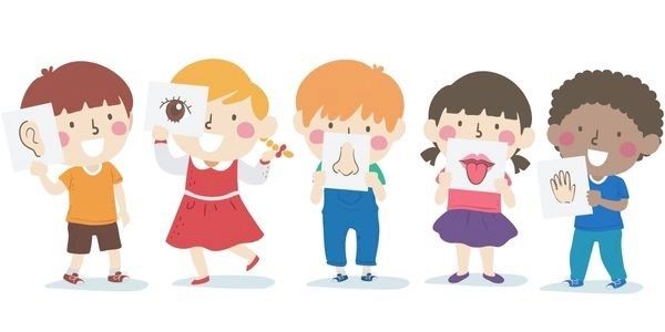 Cảm giác xúc giác