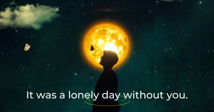 Cô đơn dưới ánh sáng trăng mờ