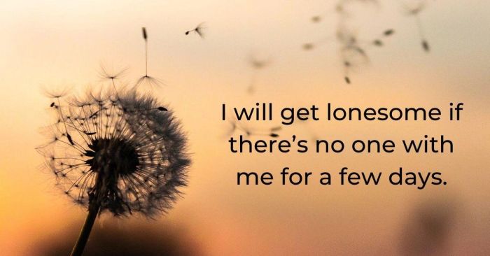 Hoa bồ công anh bay trong gió chiều tàn