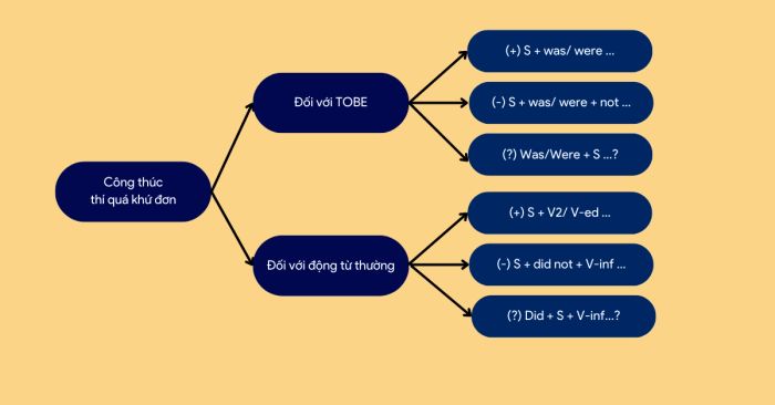 Công thức của thì quá khứ đơn lớp 6