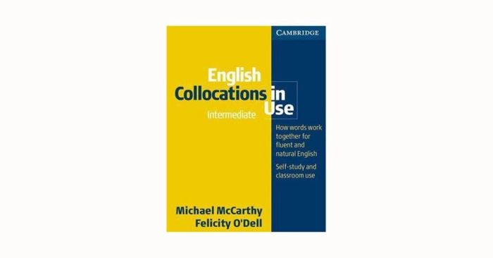 English Collocation in Use — Intermediate Level