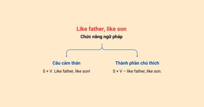 Cách sử dụng thành ngữ 'like father like son'