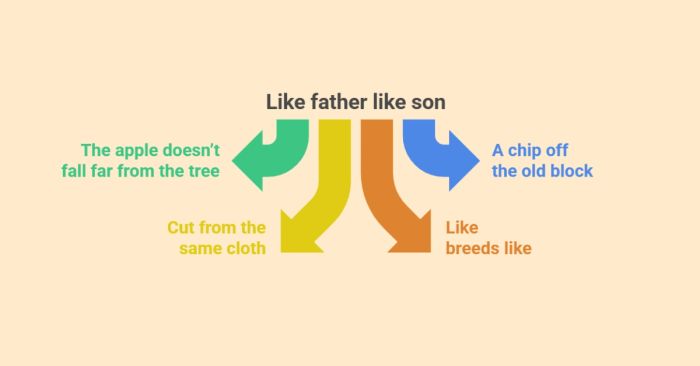 Cách diễn đạt tương tự với 'like father like son'