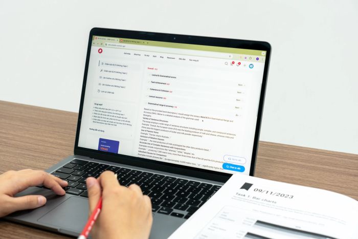 IELTS Correct GPT