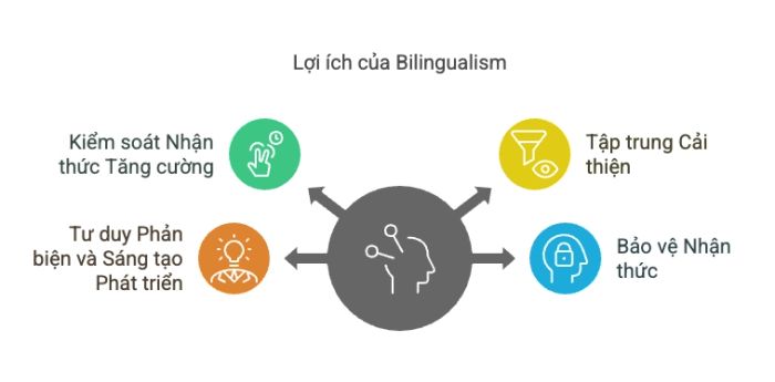 Lợi ích của việc song ngữ đối với khả năng nhận thức