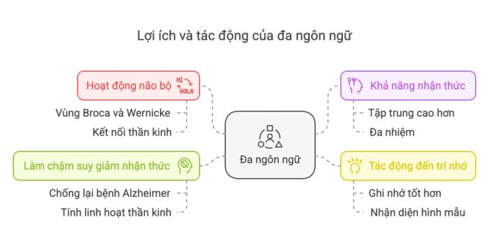 Lợi ích và ảnh hưởng của việc sử dụng nhiều ngôn ngữ