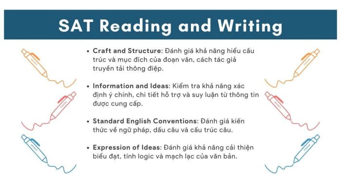 Cấu trúc tổng thể phần thi SAT Reading and Writing