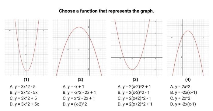 Select a function that matches the graph