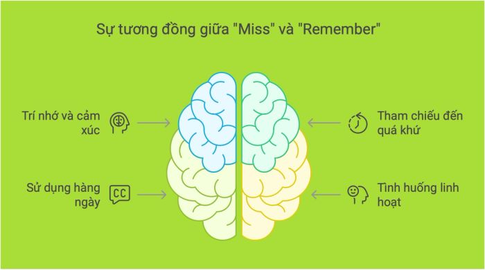 Khám Phá Mối Quan Hệ Giữa