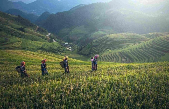 Đoạn văn mẫu cho bài viết write about your last holiday đoạn 4