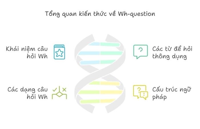 Phân tích chuyên sâu các dạng câu hỏi Wh