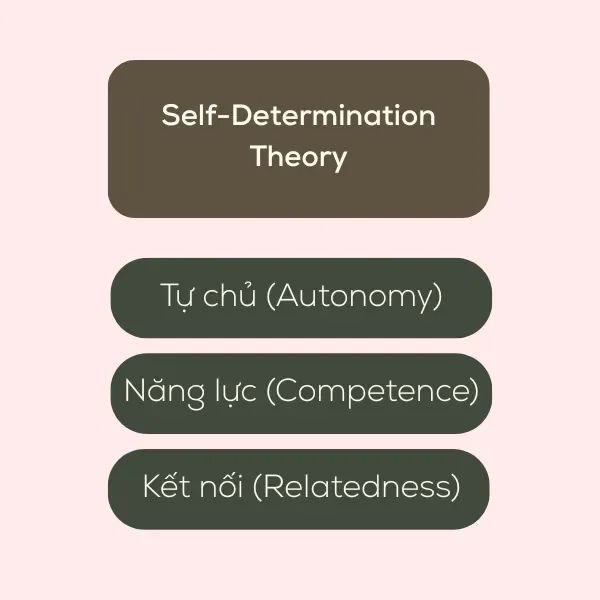 Tâm lý học: Thuyết Tự Quyết
