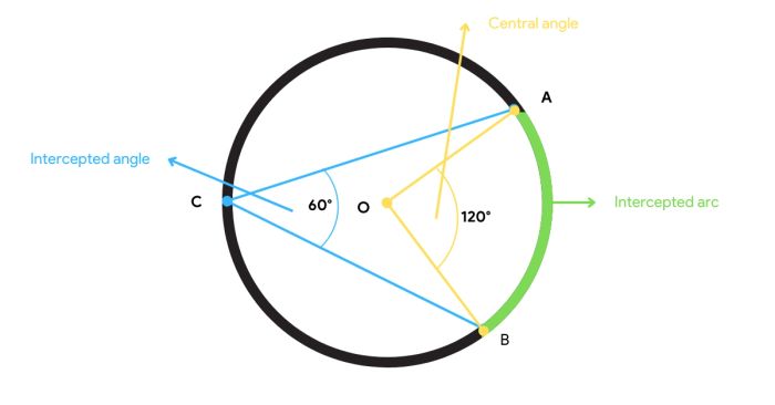 Định lý góc nội tiếp trong đường tròn (Inscribed Angle Theorem)
