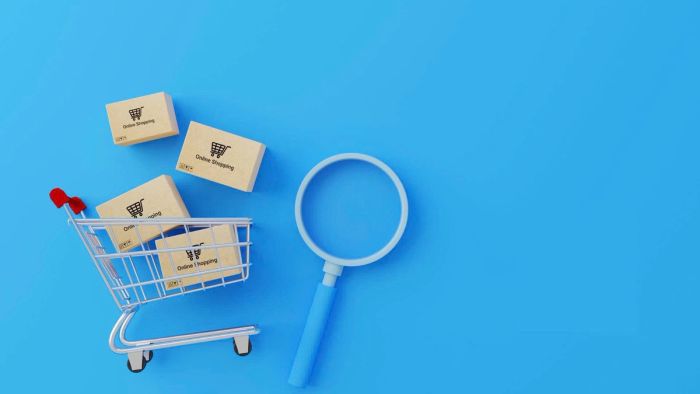 understanding consumer behavior