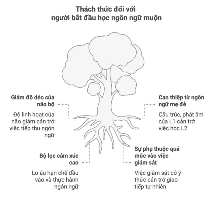 Những trở ngại khi tiếp cận ngôn ngữ thứ hai