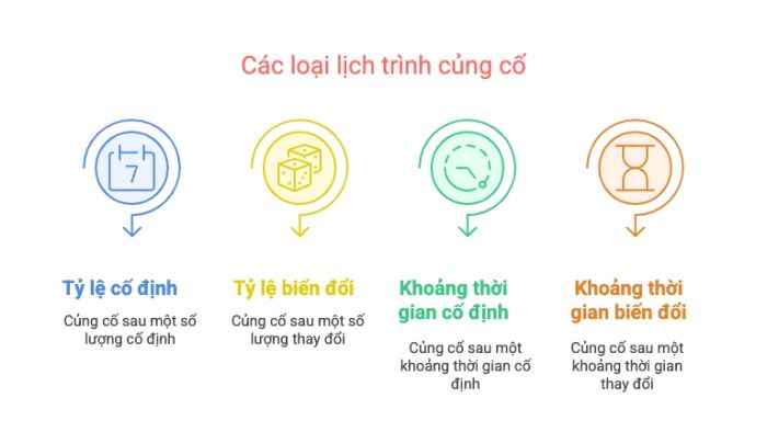 Các dạng lịch trình củng cố hành vi