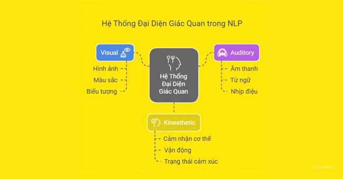 Tìm hiểu hệ thống xử lý thông tin giác quan trong NLP