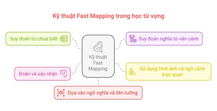 Ứng dụng Fast Mapping để làm chủ từ vựng