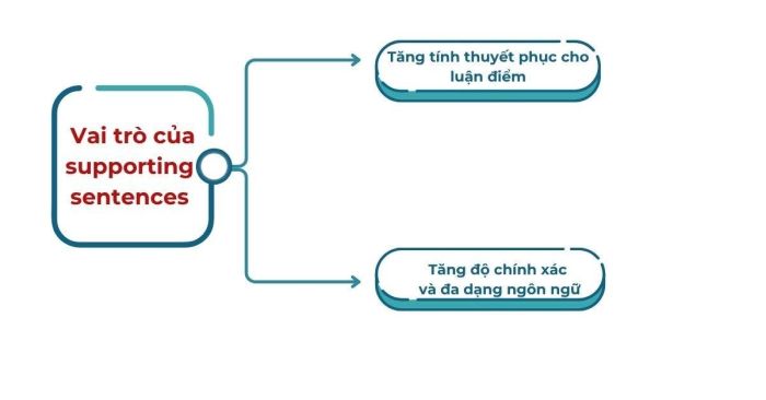 Chức năng chính của Supporting sentences