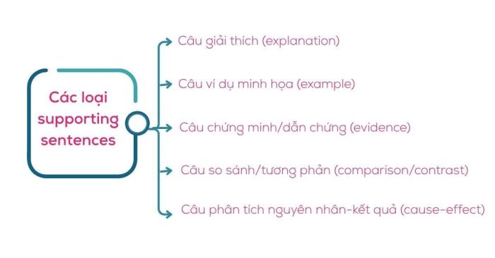 Những dạng supporting sentences phổ biến