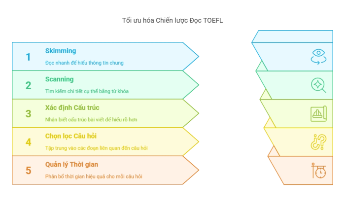 Cách tiếp cận toàn diện phần Đọc hiểu TOEFL
