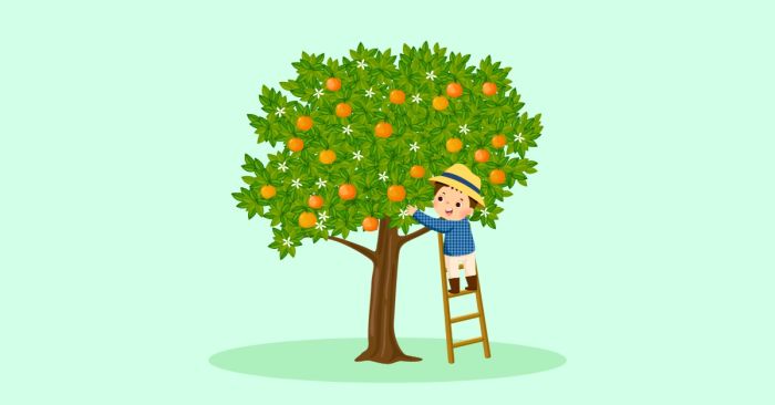 5 phrasal verb pick thường gặp nhất trong tiếng anh