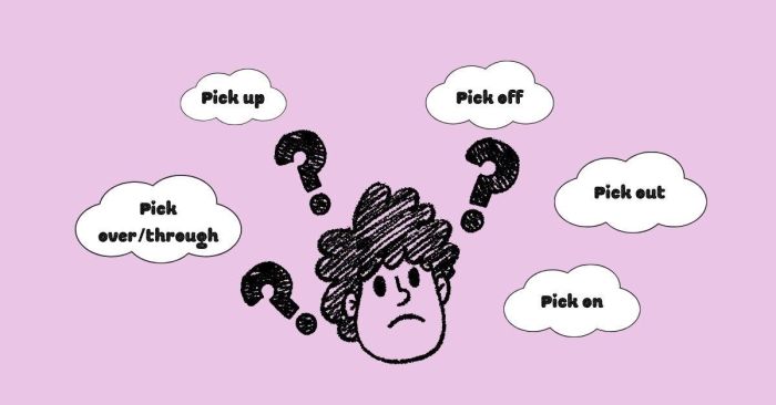 Các Phrasal Verb Pick Thường Dùng