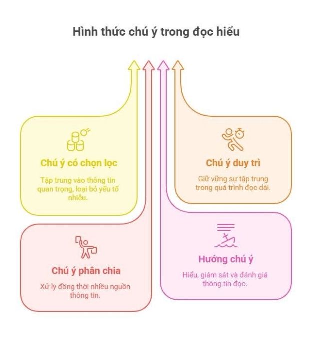 Những kiểu tập trung khác nhau khi đọc hiểu