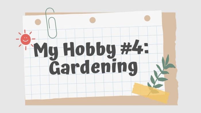 bài viết ngắn về sở thích cá nhân