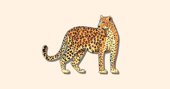 Định nghĩa Leopard