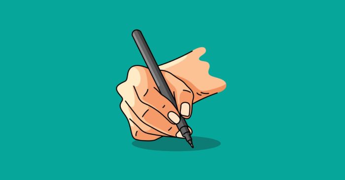 supplemental essay cac dang bai va huong dan cach viet