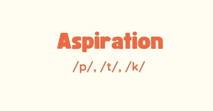 hien tuong bat hoi aspiration dac diem su bien doi theo ngu canh
