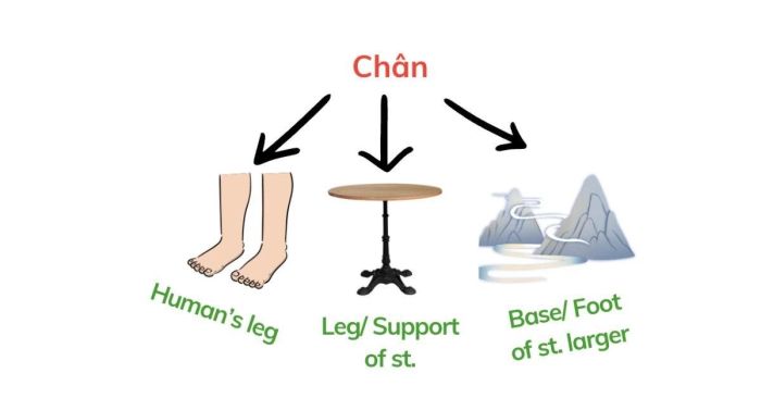 Chân: Ý nghĩa và cách sử dụng trong các ngữ cảnh