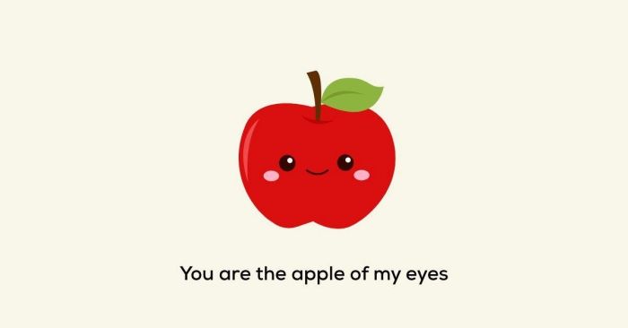 You are the apple of my eyes