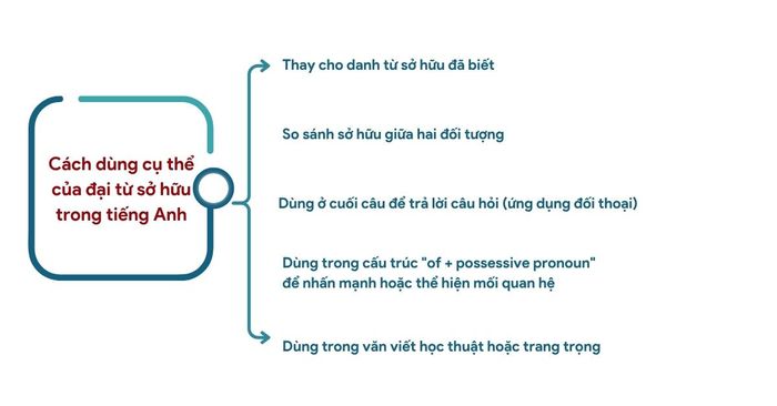 cach-su-dung-dai-tu-so-huu